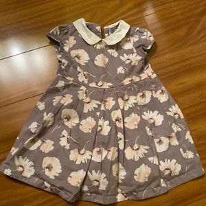 Peter Pan collar Dress